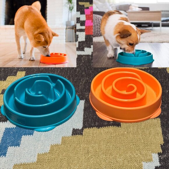 Outward Hound Slo (Slow) Fun Feeder Dog Bowl, Set of 2 Medium Turquoise/Orange - Picture 1 of 13